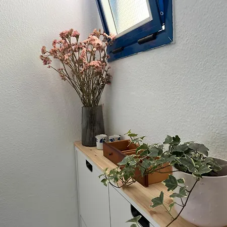Retama Apartment Costa Adeje (Tenerife)